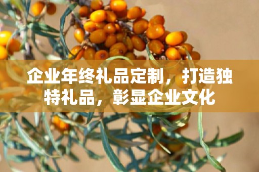 企业年终礼品定制，打造独特礼品，彰显企业文化