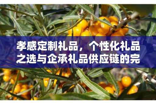 孝感定制礼品，个性化礼品之选与企承礼品供应链的完美结合