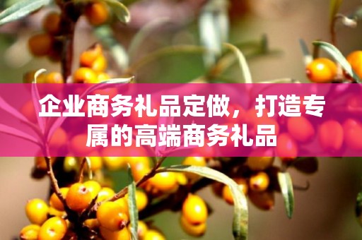 企业商务礼品定做，打造专属的高端商务礼品